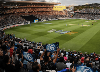 More New Zealanders watching cricket than ever before