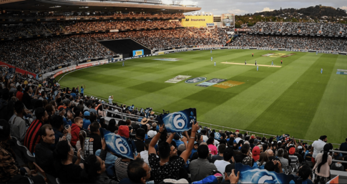 More New Zealanders watching cricket than ever before