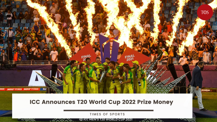T20 World Cup 2022 Prize Money