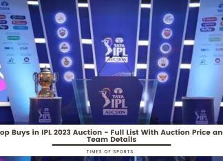 Top Buys in IPL 2023 Auction