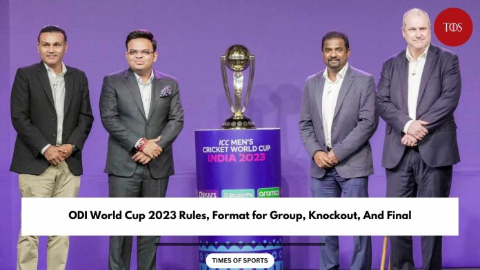 World Cup 2023 Rules