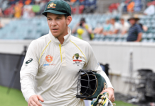 Adelaide Strikers named Tim Paine as new assistant coach