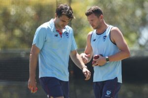 Pat Cummins and Josh Hazlewood